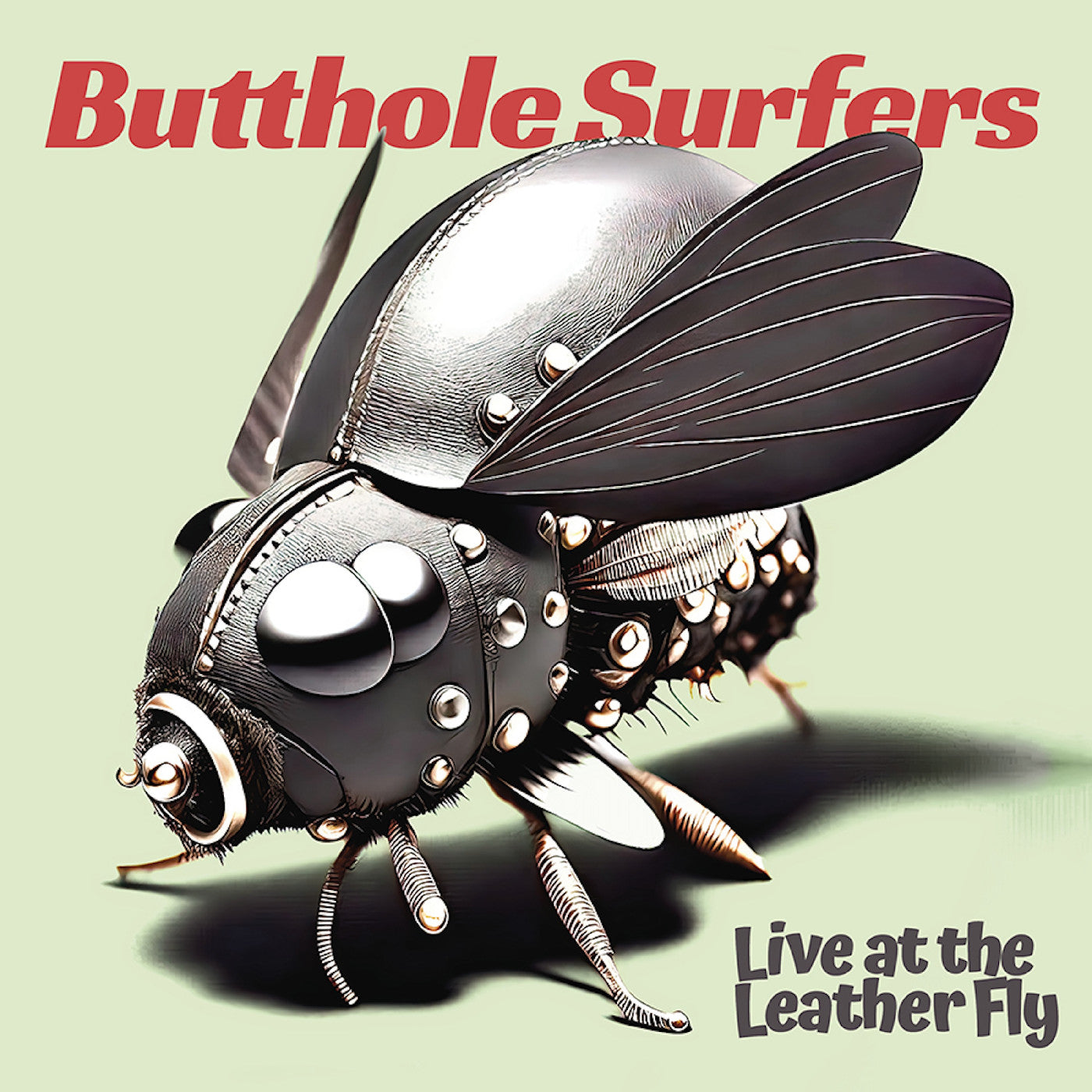 Butthole Surfers - Live At The Leather Fly (Opaque Pink Vinyl) | Mint (M) Mint (M)