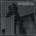 Amygdala "Our Voices Will Soar Forever" CD