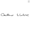 Caetano Veloso (Irene) (Clear Vinyl) Vinyl Record