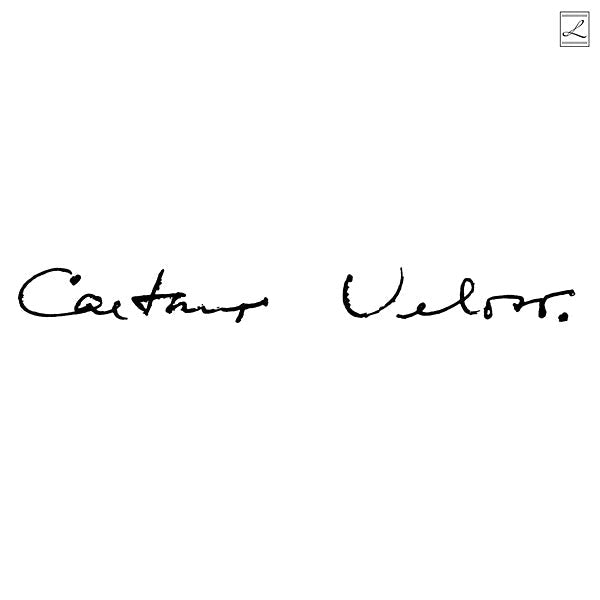 Caetano Veloso (Irene) (Clear Vinyl) Vinyl Record