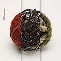 The Long Afternoon of Earth Music CD