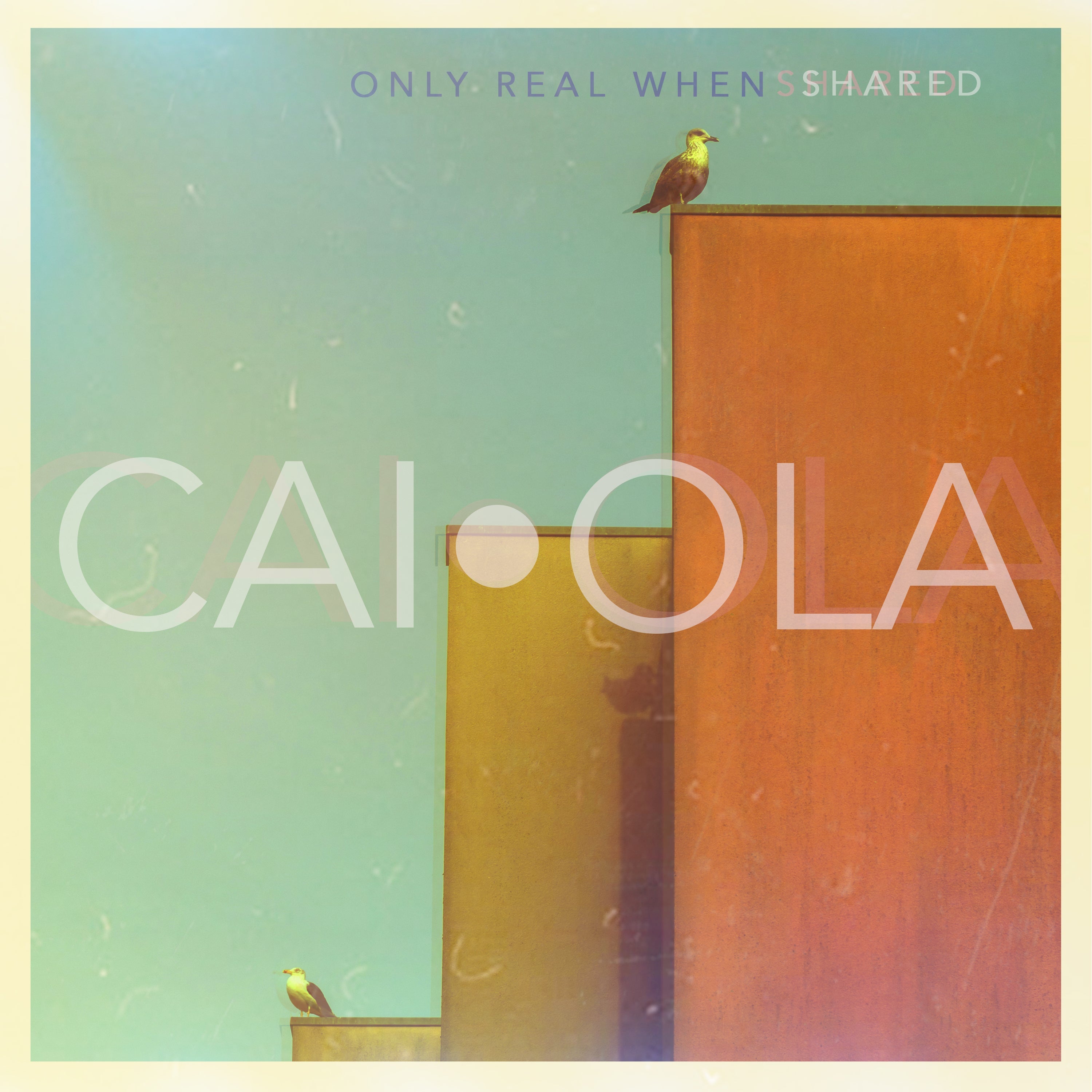 Only Real When Shared (CD) | Mint (M) Mint (M)