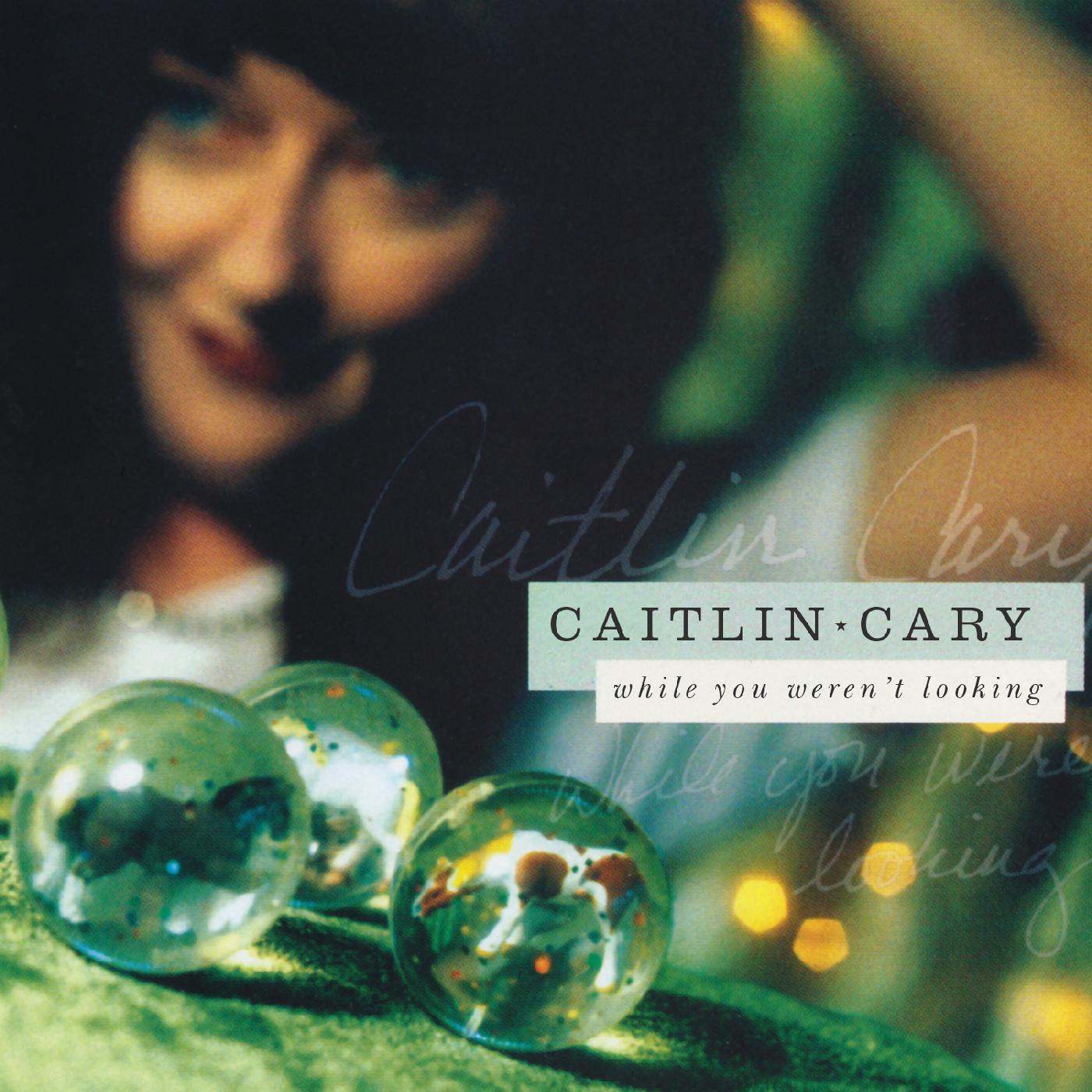 While You Weren't Looking (20th Anniversary Edition) Vinyl Record