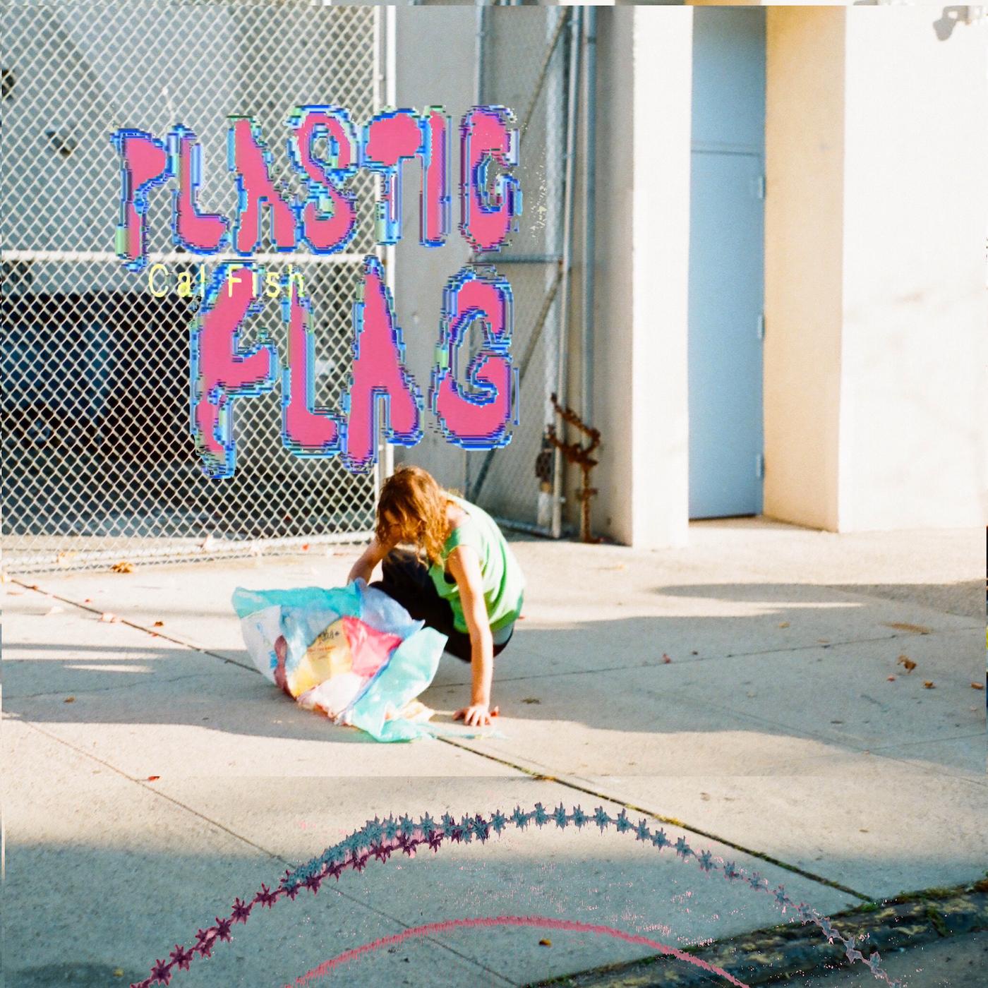 Plastic Flag Vinyl Record