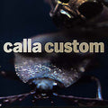 Custom (The Remix Project) Music CD