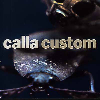 Custom (The Remix Project) Music CD