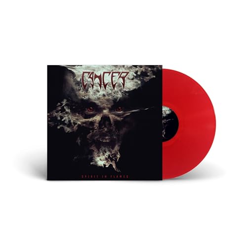 Spirit In Flames (Red Vinyl) Vinyl Record