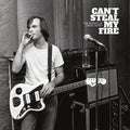Various Artists - Can't Steal My Fire: The Songs of David Olney Vinyl Record