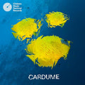 Cardume Vinyl Record