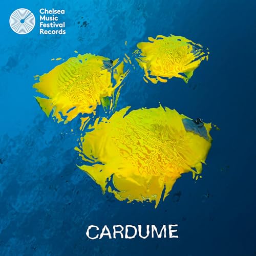 Cardume Vinyl Record