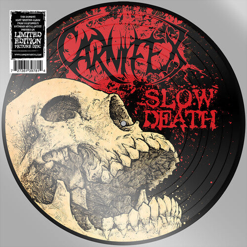 Slow Death (Indie Exclusive, Picture Disc Vinyl) Vinyl Record