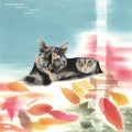 Carpet of Fallen Leaves 2LP Vinyl Record
