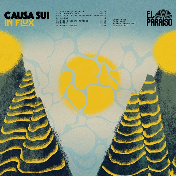 In Flux Music CD