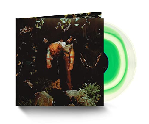 worm food Vinyl Record