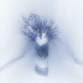 PRE-ORDER Cd Ghost - When The Rain Stops Music CD