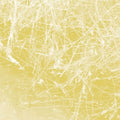 Cursory Asperses Music CD