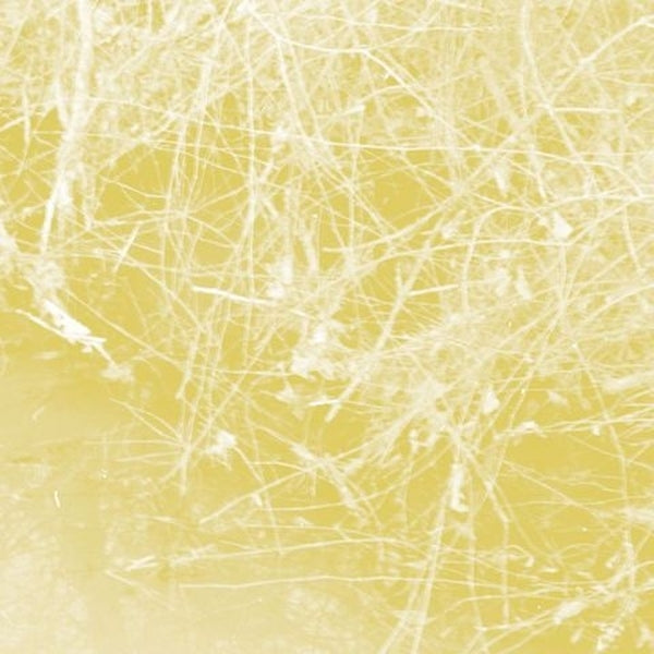 Cursory Asperses Music CD