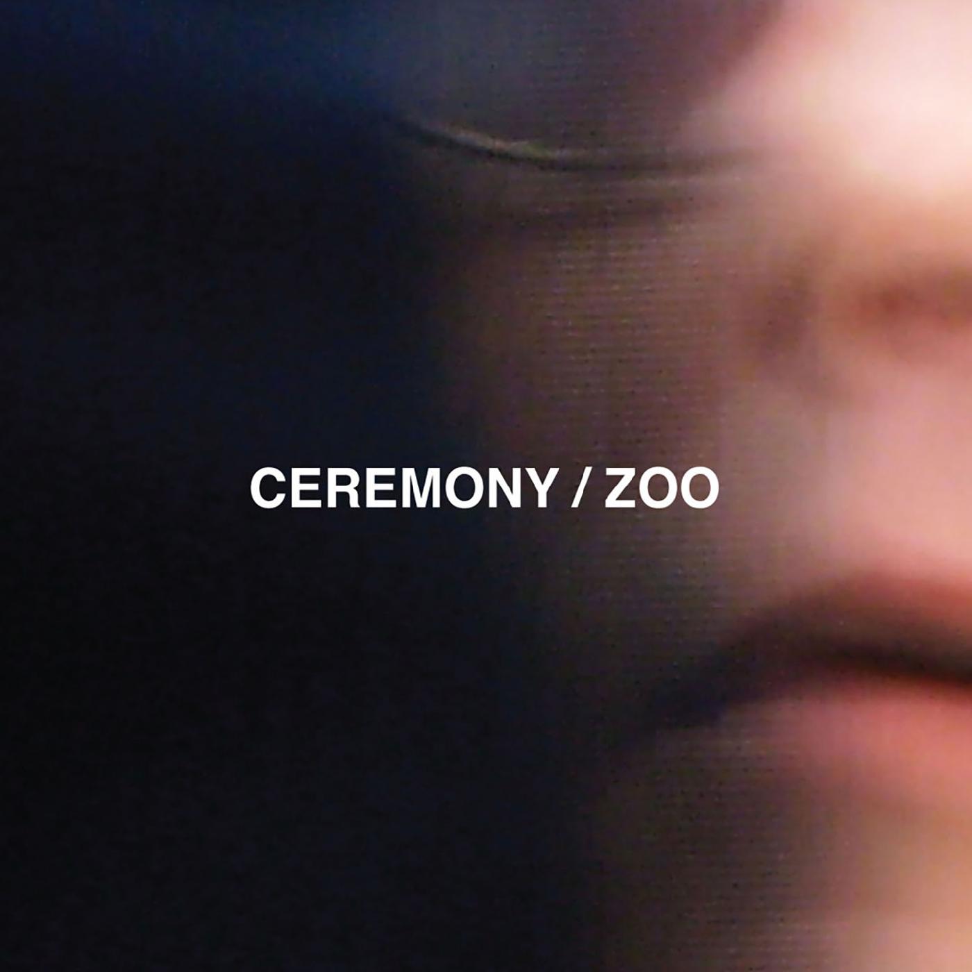 Zoo Vinyl Record