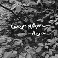 Angel [Lp] |