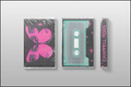 The Rise And Fall Of A Midwest Princess Music Cassette Tape
