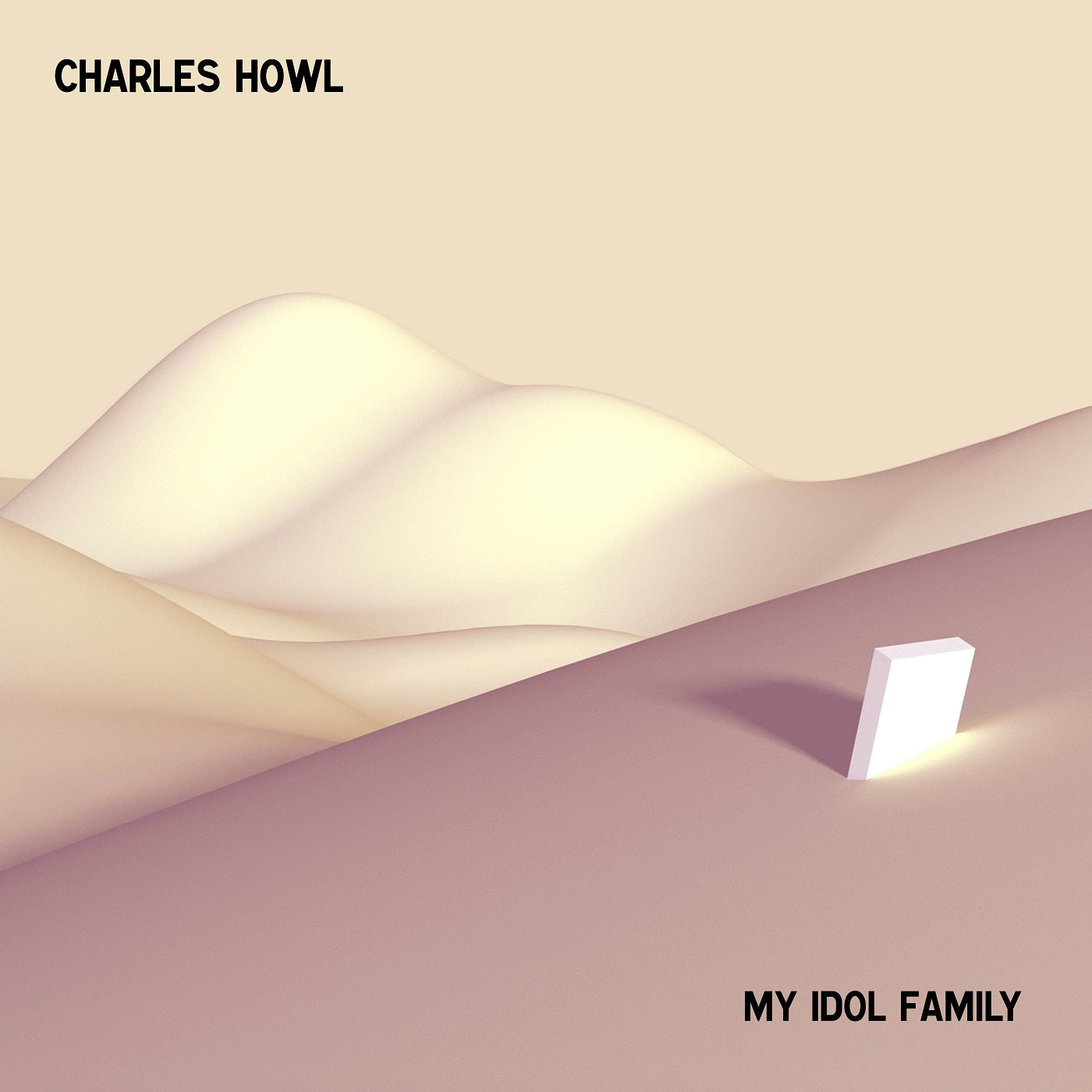 My Idol Family Vinyl Record