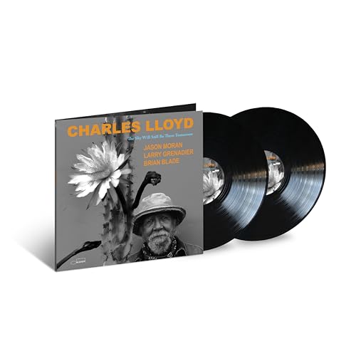 The Sky Will Still Be There Tomorrow [2 LP] | Mint (M) Mint (M)