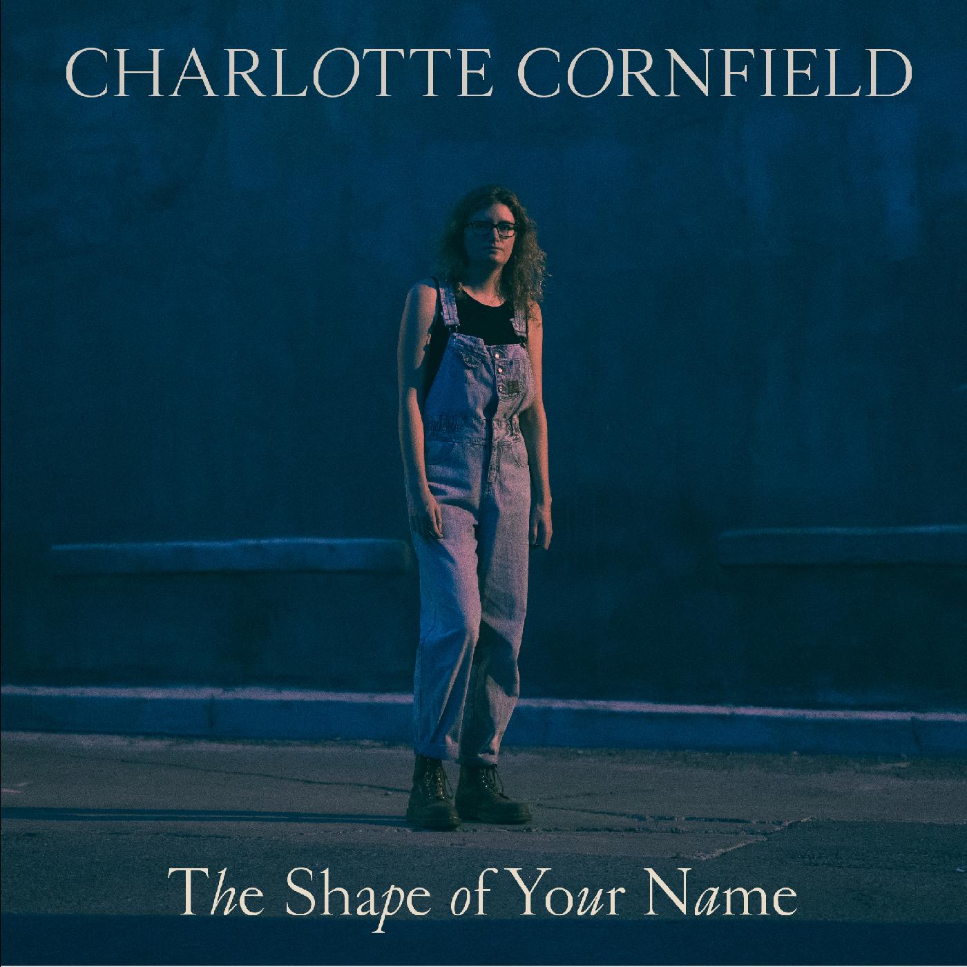 The Shape of Your Name - Deluxe Reissue (BLUE VINYL) Vinyl Record