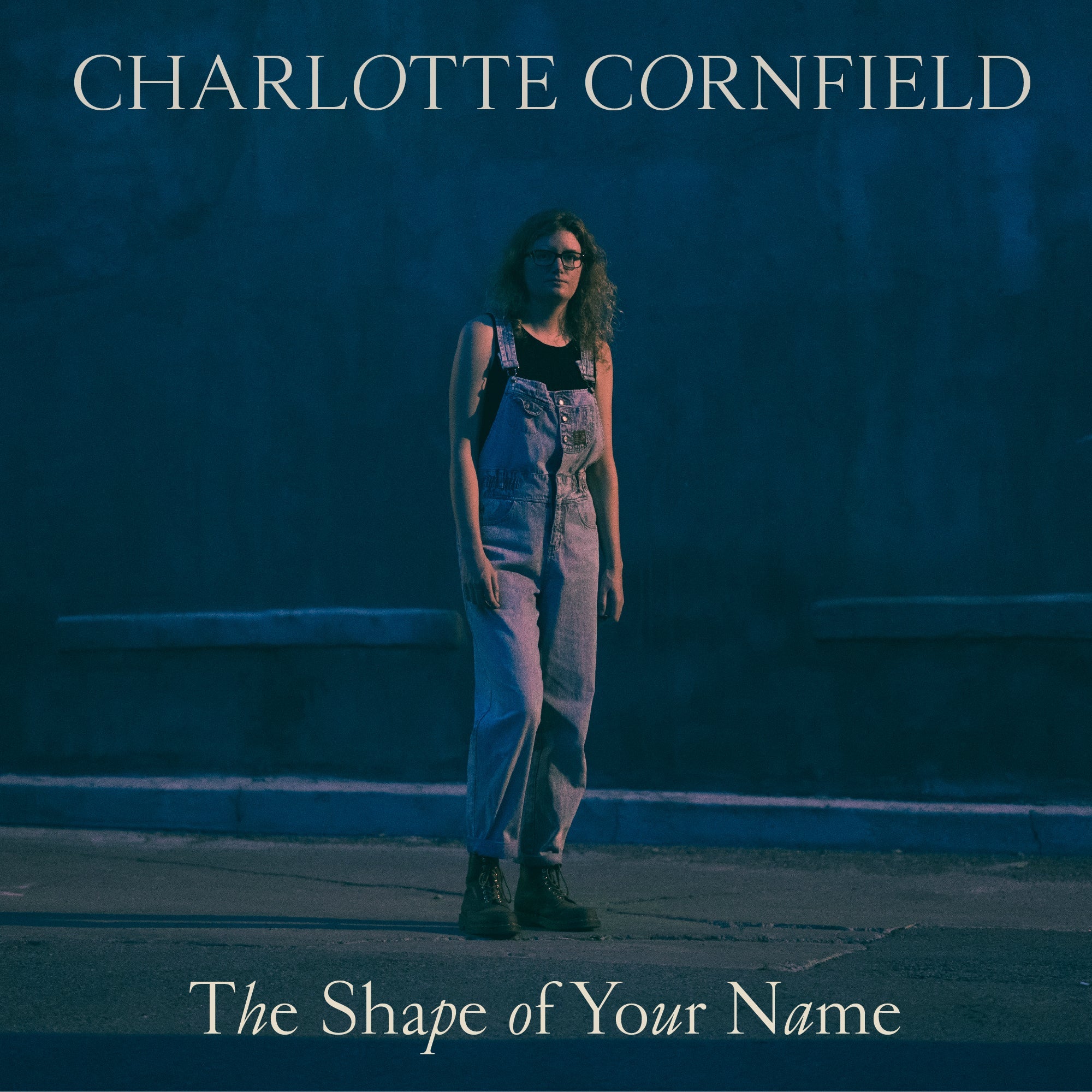The Shape Of Your Name Music CD