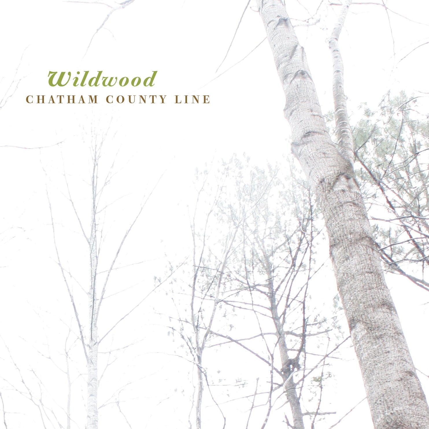 Wildwood Music CD