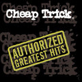 Authorized Greatest Hits Music CD