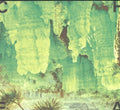 Cheatahs Music CD