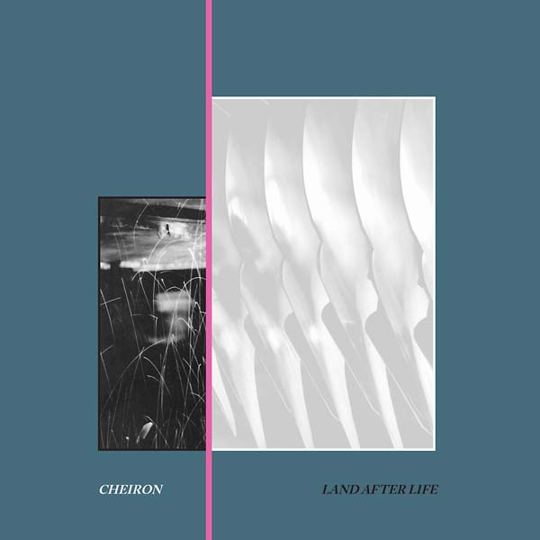 Land After Life Vinyl Record