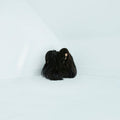 Hiss Spun Music CD
