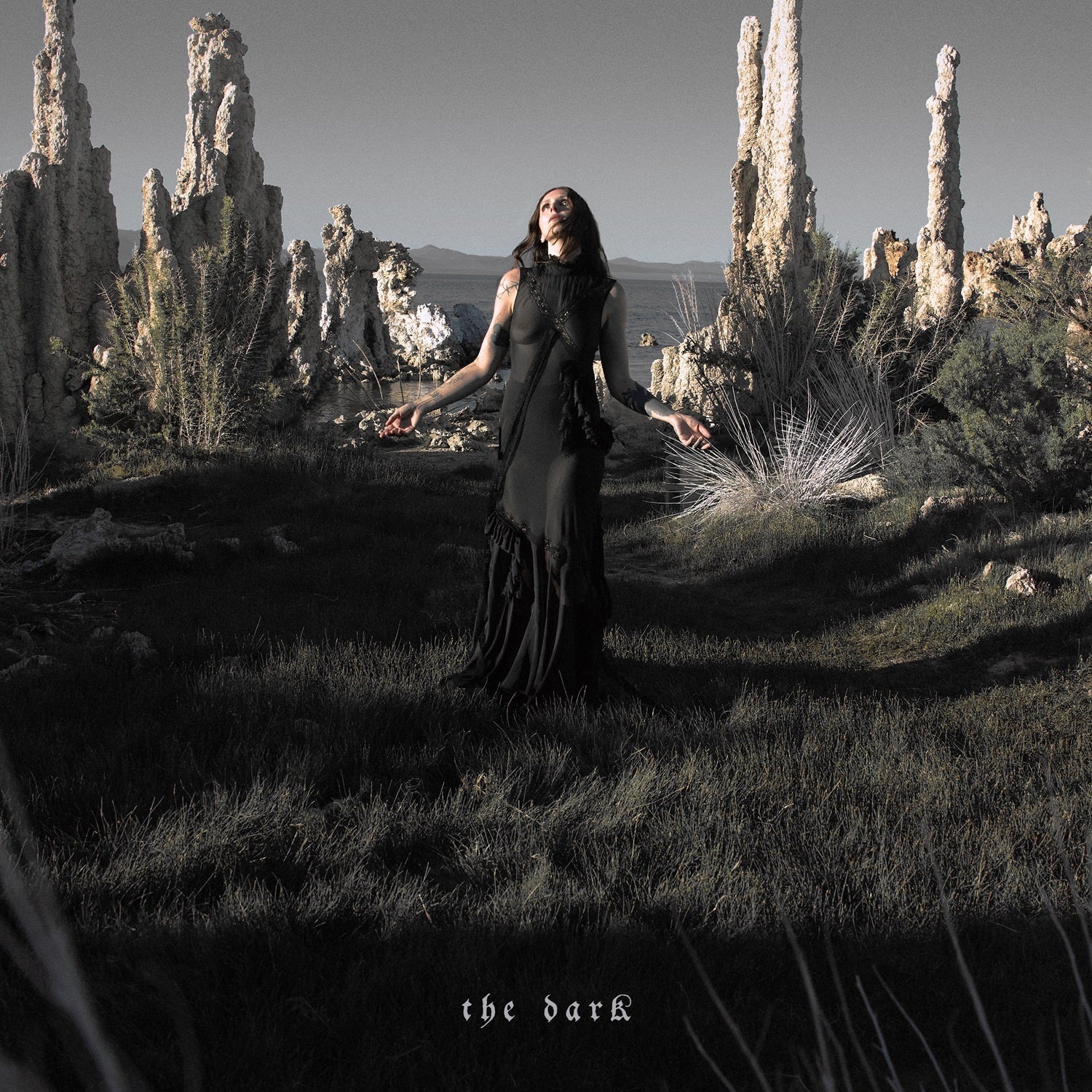 PRE-ORDER Chelsea Wolfe - The Dark [Translucent Dark Green Grass LP] [Vinyl] Vinyl Record