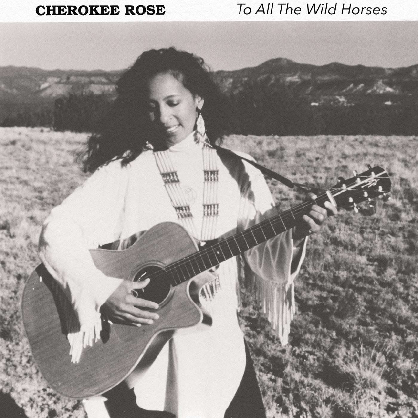 To All The Wild Horses Music CD