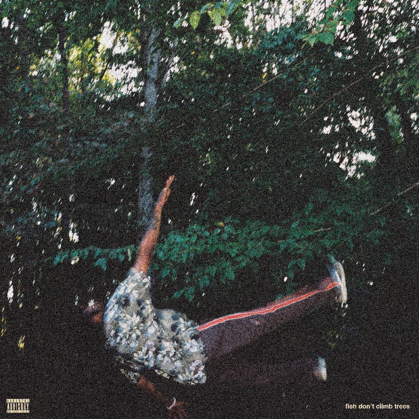 Chester Watson - fish don't climb trees Vinyl Record