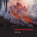 Fall Line Music CD