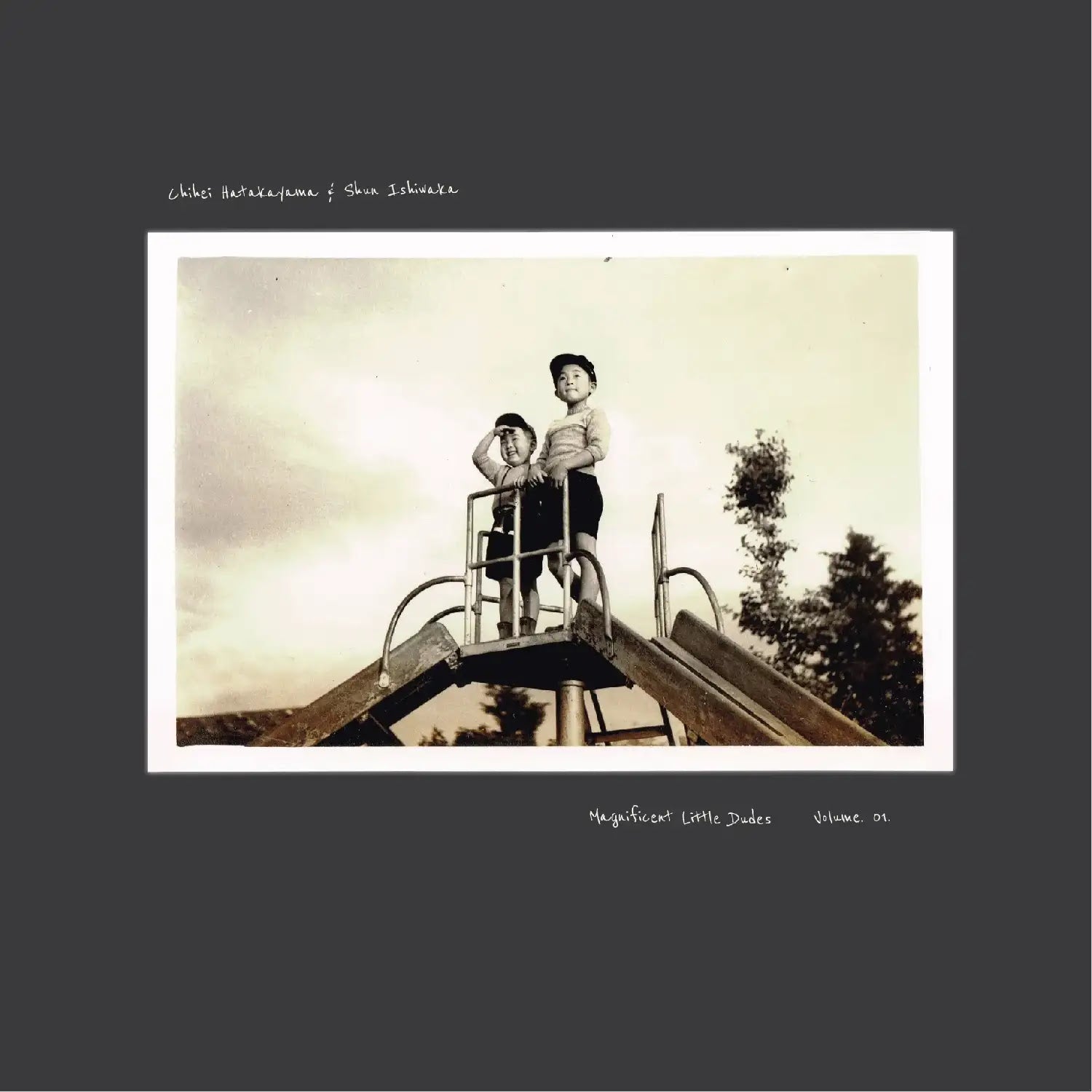 Magnificent Little Dudes Vol.1 Vinyl Record