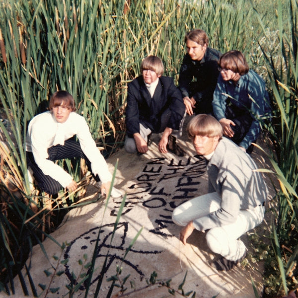 Children Of The Mushroom Vinyl Record