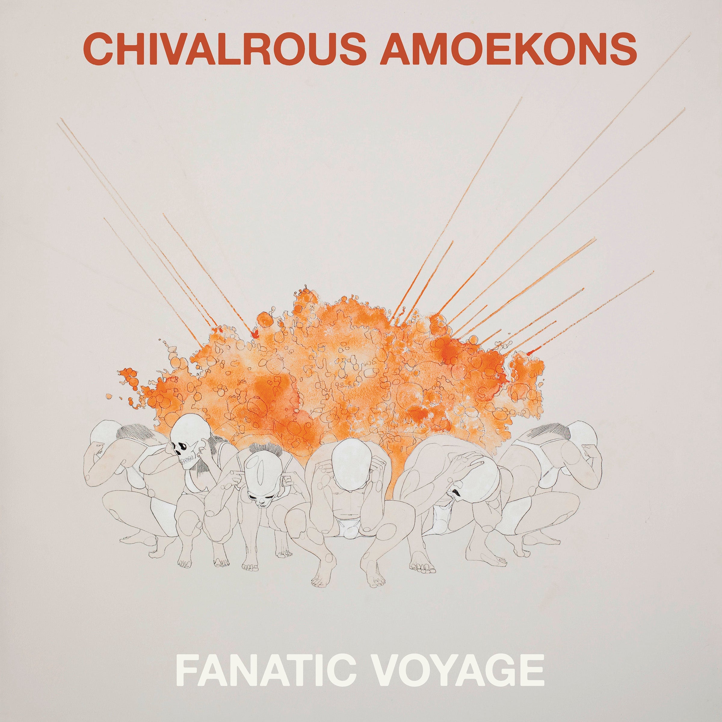 Fanatic Voyage Vinyl Record
