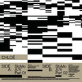 SloMo A/V Vinyl Record