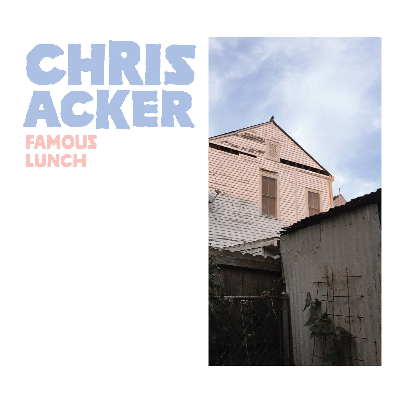 Famous Lunch (Orange / White Marble Vinyl) Vinyl Record