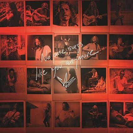 Chris Cornell - No One Sings Like You Anymore (Picture Disc Vinyl, Limited Edition) Vinyl Record