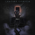 Director Vinyl Record