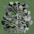 Yucca Vinyl Record