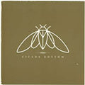 Cicada Rhythm Music CD