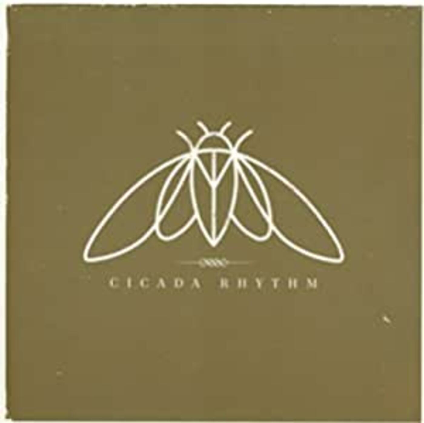 Cicada Rhythm Music CD