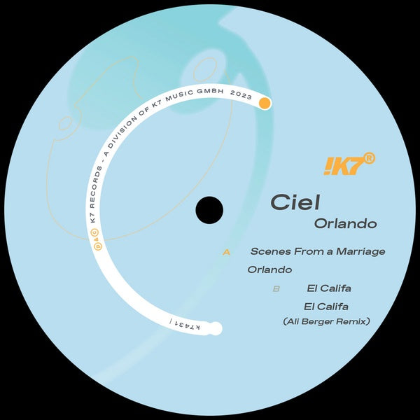 Orlando Vinyl Record