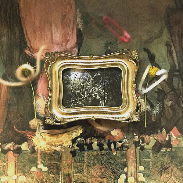 A Goal Is An Image Vinyl Record