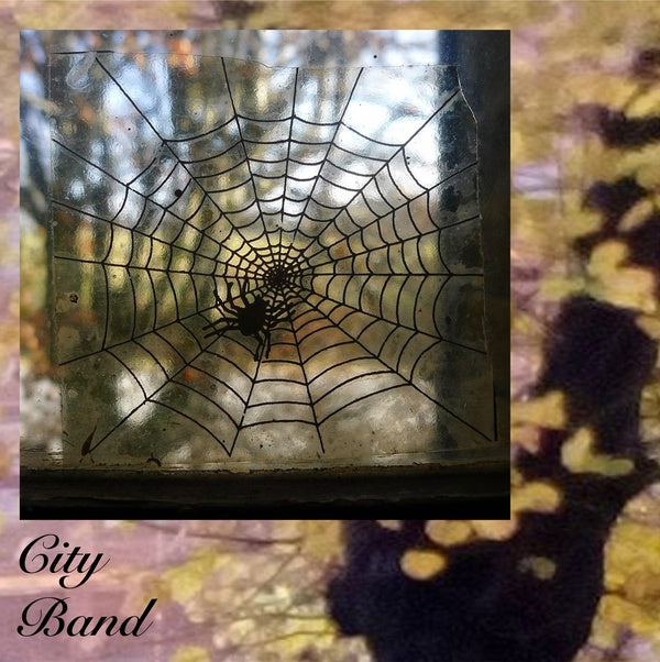 City Band Vinyl Record